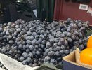 Виноград на Кубани подешевеет: рекордный урожай — и цены падают до 80 рублей