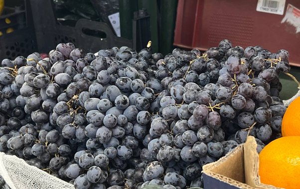 Виноград на Кубани подешевеет: рекордный урожай — и цены падают до 80 рублей