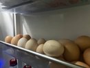 Проверяю яйца на свежесть с помощью вспышки телефона — метод, который работает безотказно