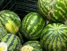 Секрет продавцов арбузов: как выбрать сладкий по одному признаку