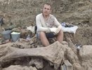 Сенсация на Тамани: археологи нашли черепа шести древних слонов