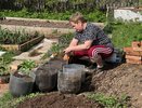 Дачников предупредили: три важных изменения с 1 сентября