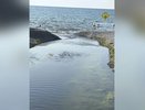 Суджукская лагуна снова дышит: водообмен восстановлен после вмешательства прокуратуры