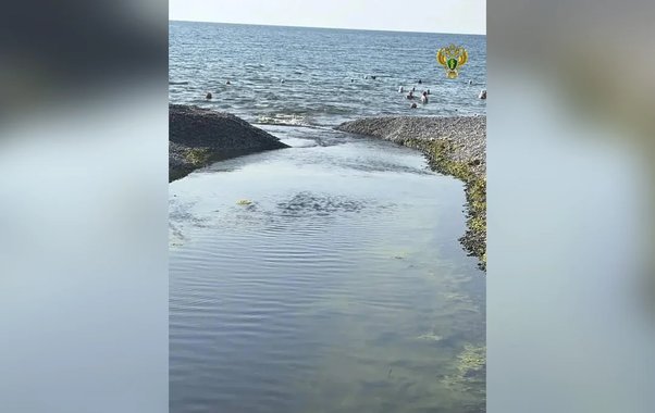 Суджукская лагуна снова дышит: водообмен восстановлен после вмешательства прокуратуры