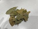 Зачем советские хозяйки клали в сахар лавровый лист: старый лайфхак, который работает до сих пор