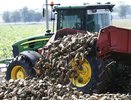 Кубань взяла старт: сахарные заводы переработали первые 500 тысяч тонн свеклы