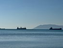 Хватит ли Новороссийску мощностей для экспорта зерна: ситуация накаляется