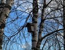 Синоптики переписали сентябрь: вместо +25 °C — снег и гололедица. Кому готовить сани