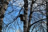 Синоптики переписали сентябрь: вместо +25 °C — снег и гололедица. Кому готовить сани