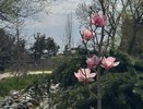 Краснодар обогнал Москву и Сочи в рейтинге комфортных городов