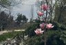 Краснодар обогнал Москву и Сочи в рейтинге комфортных городов