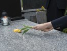 Братскую могилу советских воинов в Новороссийске восстановят до конца сентября