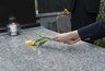 Братскую могилу советских воинов в Новороссийске восстановят до конца сентября
