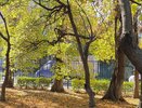 Вихрь с Балкан обрушит дожди на Кубань: погода резко испортится уже сегодня