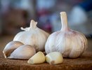 Чеснок посадите в эти дни — и весной получите головки размером с кулак