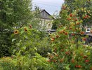 Ветки и скорлупа сгниют за зиму: три состава, которые превратят компост в чернозём