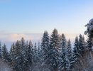 Зима, которой не было 250 лет: синоптики предупредили о климатическом хаосе
