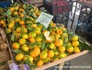 Хурма, мандарины и гранаты уже на прилавках Новороссийска: обзор цен