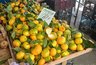 Хурма, мандарины и гранаты уже на прилавках Новороссийска: обзор цен