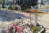 Стройплощадка вместо «Научной»: детскую площадку за 50,5 миллиона в Новороссийске обещают открыть уже в третий раз — теперь к 1 ноября