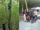 Кот на высоте: в Новороссийске спасатели сняли животное с 15‑метрового дерева