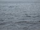 Сочи готовится к ливням, грозами и селям: все службы переведены в режим повышенной готовности