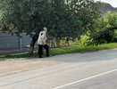 Индексацию вернули задним числом: пенсионерам пересчитывают баллы за 2016–2024 годы