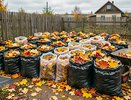Осенние листья — не мусор: агроном рассказала, как сделать из них удобрение