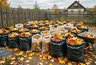 Осенние листья — не мусор: агроном рассказала, как сделать из них удобрение