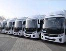 Сочи, Анапа и Туапсе получат 144 новых автобуса на газомоторном топливе