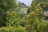 10 важных дачных дел осенью: успейте до первых морозов