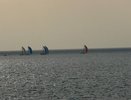 Из 140 видов рыбы в Азовском море осталось около 80. И это только начало: учёные рассказали, что ждёт море к 2050 году