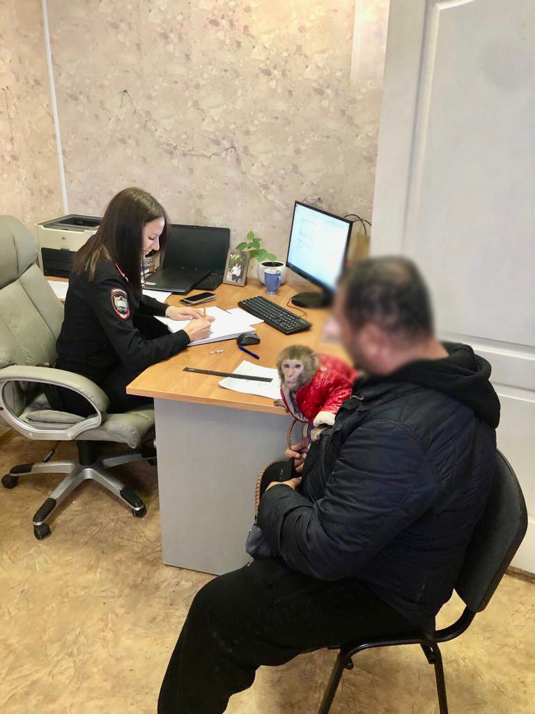Полиция Новороссийска задержала приезжего фотографа с обезьянкой