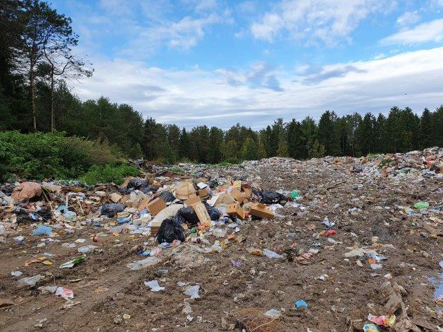 Глава Следкома РФ поручил возбудить уголовное дело из-за расширения мусорного полигона в Новороссийске