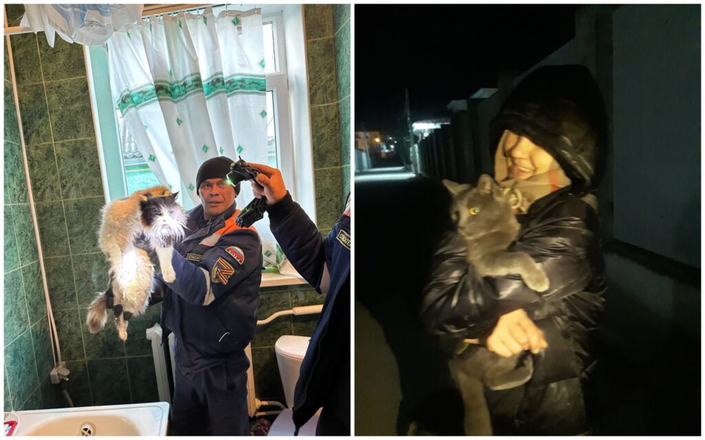 Спасатели Новороссийска достали котов, застрявших под ванной и в ливневке