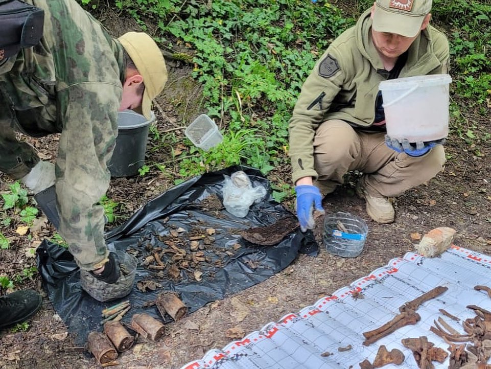 Останки бойцов, гранаты и патроны: под Новороссийском поисковики нашли находки времен ВОВ